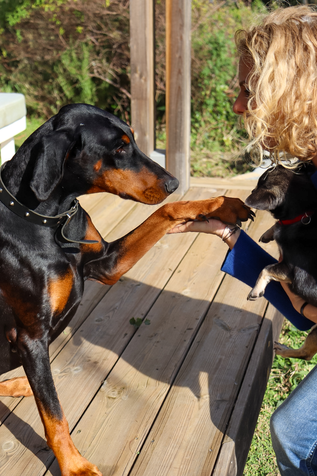 Caroline avec son dobermann